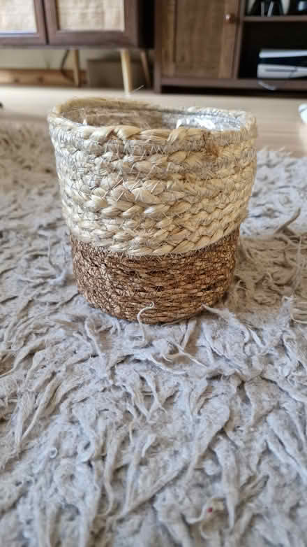 Photo of free Black/Cream Indoor Planters (Bagshot, Surrey) #3