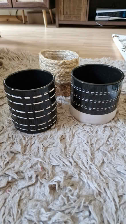 Photo of free Black/Cream Indoor Planters (Bagshot, Surrey) #1