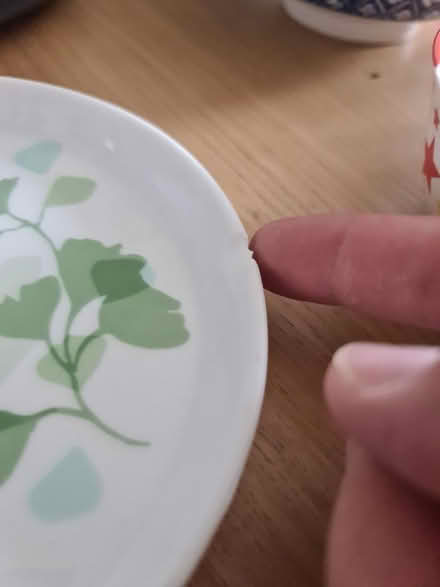 Photo of free Chipped bowls and plates (Garston L19) #4