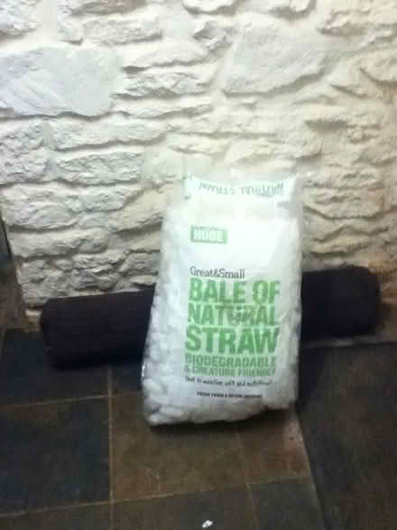 Photo of free Packing Peanuts (BS40) #1