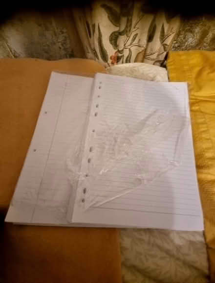 Photo of free A4 lined file paper (Central Lancaster LA1) #1