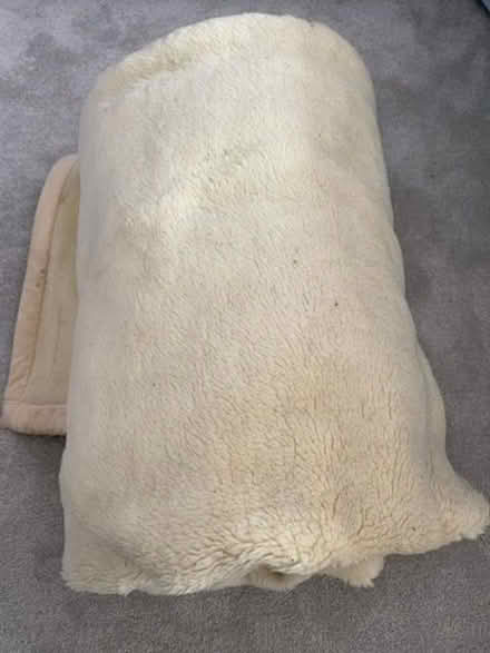 Photo of free Old blanket (Furze Platt SL6) #1