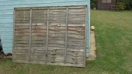 Photo of free Fence panel (St Albans AL4) #1
