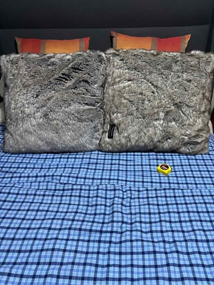 Photo of free 24” faux fur decorator pillows (Glenview) #2