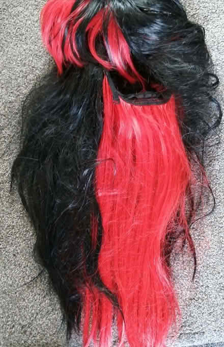 Photo of free Wigs & Hair pieces (Tyseley B11) #2