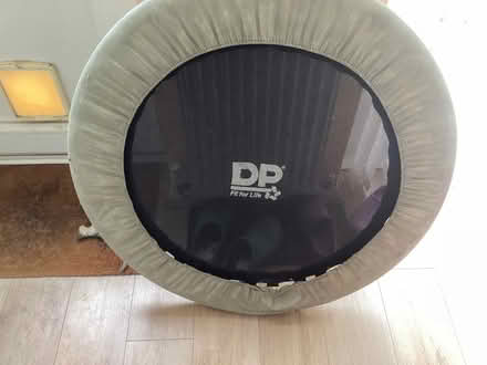 Photo of free Mini trampoline (Paddock Wood TN12) #1