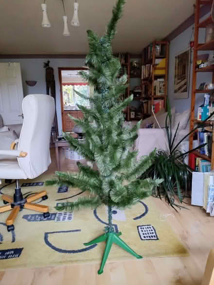 Photo of free 5 foot (approx) artificial Christmas tree (Buckskin RG22) #1