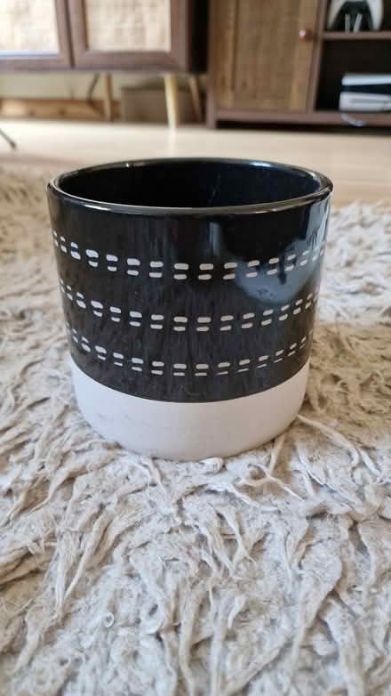 Photo of free Black/Cream Indoor Planters (Bagshot, Surrey) #2