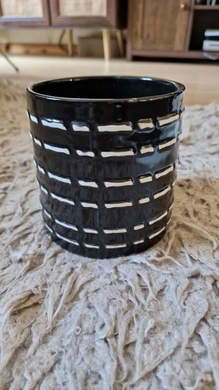 Photo of free Black/Cream Indoor Planters (Bagshot, Surrey) #4