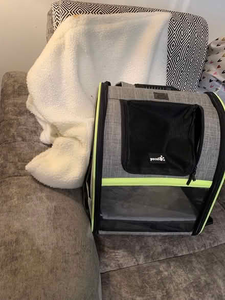 Photo of free Cat stuff (Charlton) #1