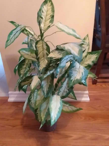 Photo of free Artificial plant (North Park & Dixie)