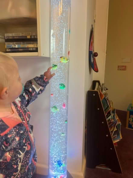 Photo of free Sensory bubble fish light (PR5 lostock hall) #3