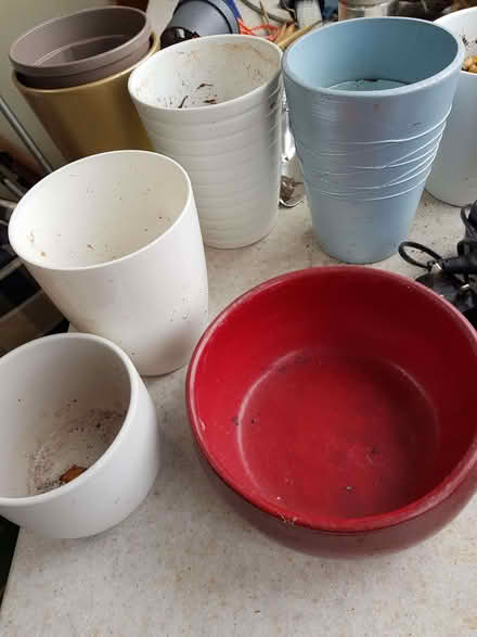 Photo of free plant pots (Spring Park CR0) #1