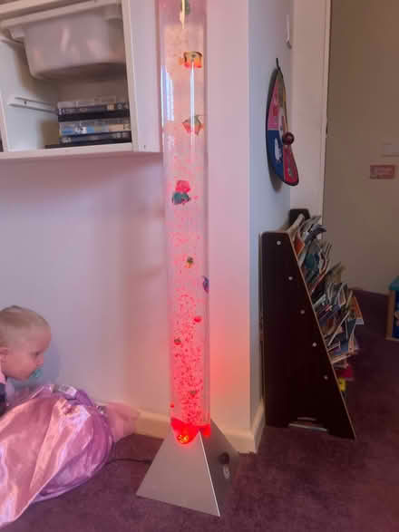 Photo of free Sensory bubble fish light (PR5 lostock hall) #2