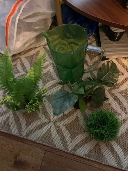 Photo of free Aquarium plants (Charlton) #1