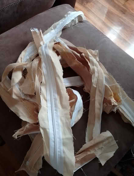 Photo of free Zippers (Henbury) #1