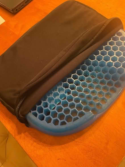 Photo of free EggSitter cushion (West Billerica) #1