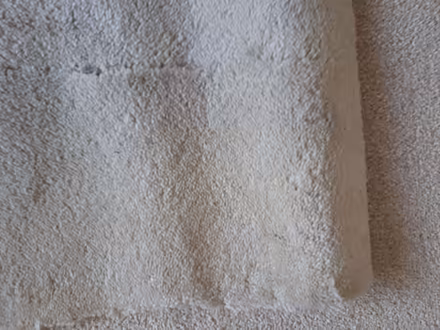 Photo of free Carpet - good quality, used 144cm x 162cm. Cream colour. (Cressex HP12) #2