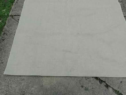 Photo of free floor rug (Abingdon OX14) #1