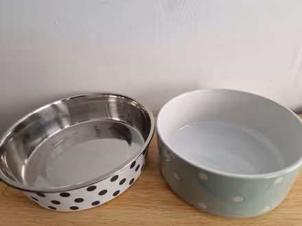 Photo of free Dog ๐ bowl (Drum Brae EH4) #1