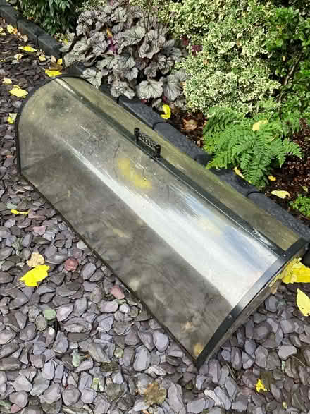 Photo of free Garden cloche (Strawberry Hill TW2) #1