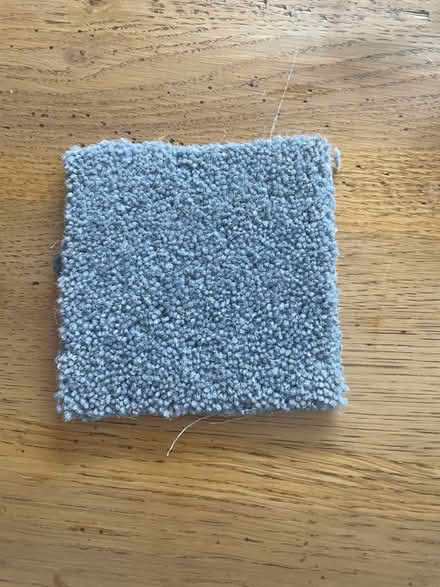 Photo of free Blue wool carpet off cuts (Wheathampstead) #1