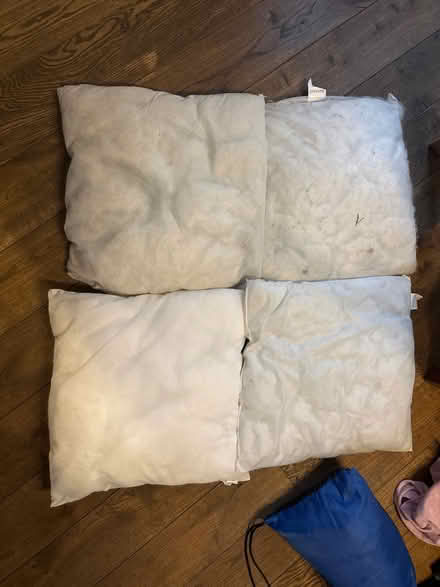 Photo of free 4 x cushion inners (Shire Oak, WS8) #1