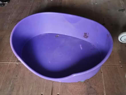 Photo of free Large dog bed (Lancing industrial estate) #1