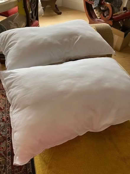Photo of free Two Microfibre pillows (Malvern WR14) #2