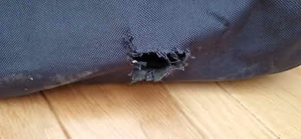 Photo of free Blue holdall/suitcase (TN40 chantry Bexhill) #2
