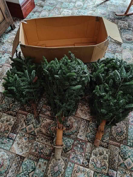 Photo of free Artificial Christmas tree (Monkseaton NE25) #1