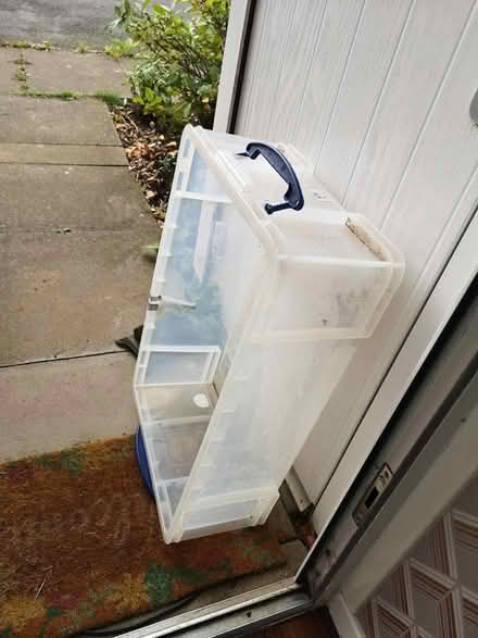 Photo of free Plastic storage box with handles (St Albans AL4) #1