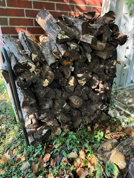 Photo of free Firewood (Prien Lake area) #1