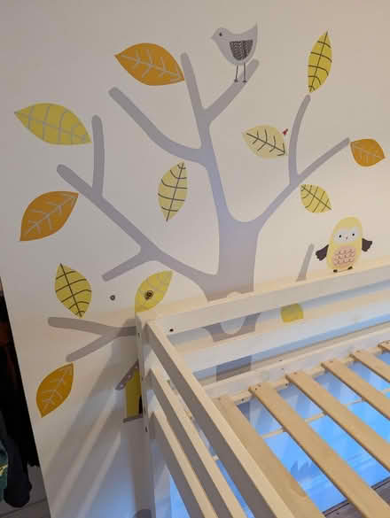 Photo of free baby room wall stickers (Fiveways BN1) #2