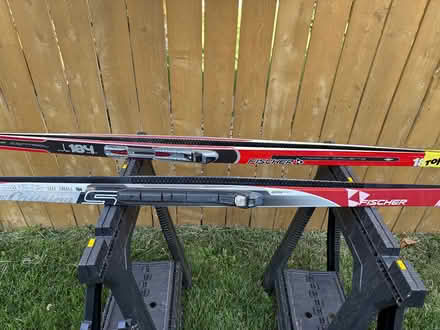 Photo of free Nordic skis (Westminster Hyland Greens) #2
