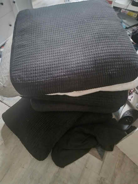Photo of free Settee cushions for pet beds? (SS0) #1