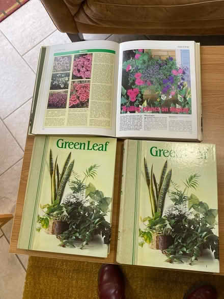 Photo of free Green leaf books (Aldershot) #1