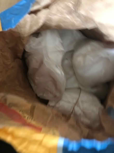 Photo of free All purpose powder filler (Baldock (SG7)) #2