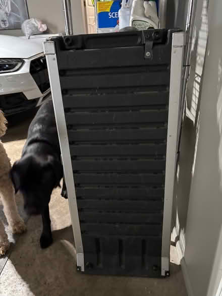 Photo of free Dog car ramp (Glenview) #2