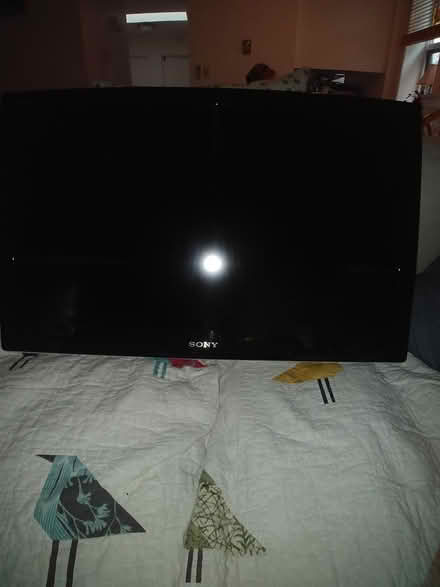 Photo of free 35 inch Sony TV (East Hastings) #2