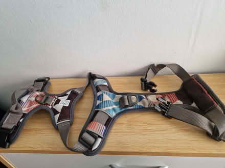 Photo of free Dog 🐕 bowl (Drum Brae EH4) #2