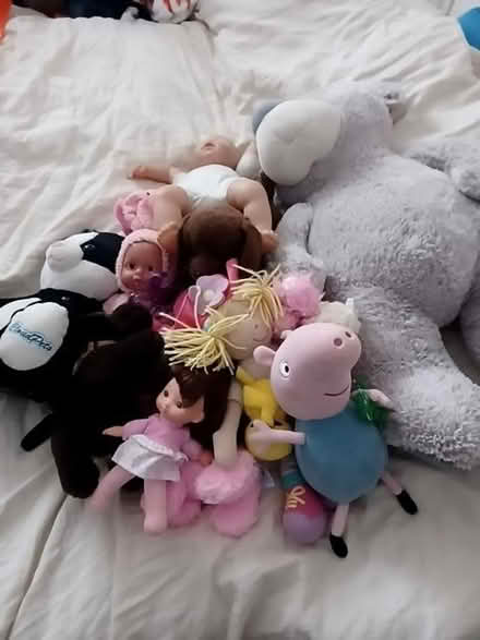 Photo of free More teddies (Tuckswood NR4) #1