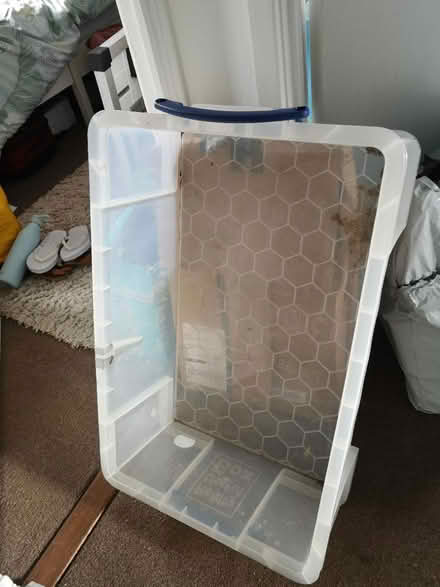 Photo of free Plastic storage box with handles (St Albans AL4) #2