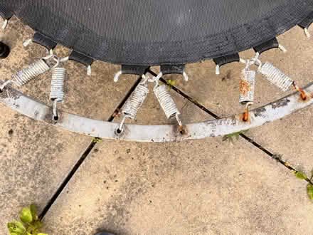 Photo of free Small trampoline (W4 2BU) #3