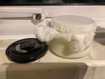 Photo of free Kefir 'mother' grains (Kenton NE3) #1