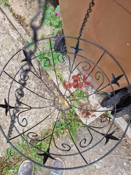 Photo of free Hanging basket 25.5 cm wide (West Avenue, Chelmsford, CM1) #2