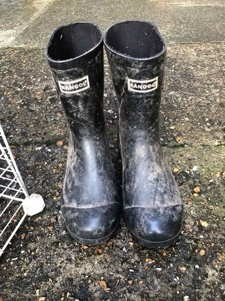 Photo of free Wellington boots shirt size 6 (Bromley BR1) #3
