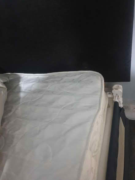 Photo of free Single bed (S5 parson Cross) #2