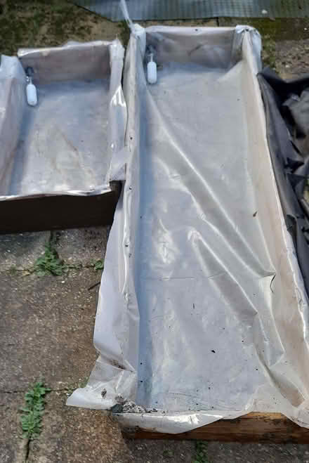 Photo of free Bottom-watering troughs for 8x6 greenhouse (Bernards Heath AL1) #1
