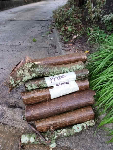 Photo of free Firewood (Near person and peace sts) #1